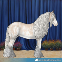 Horse Color:Cremello Sabino