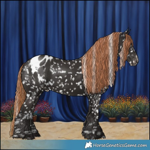 Horse Color:Liver Chestnut Snowflake Varnish