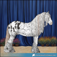 Horse Color:Liver Chestnut Snowflake Varnish 