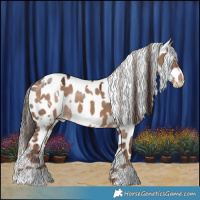 Horse Color:White Spotted Liver Red Dun Appaloosa 