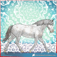 Horse Color:White Spotted Sable Champagne Appaloosa 