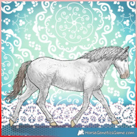 Horse Color:White Spotted Sable Champagne Appaloosa 