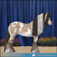 Horse Color:White Spotted Liver Red Dun 