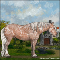 Horse Color:Silver Bay Ice 