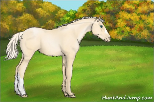 Horse Color:Palomino Pearl 