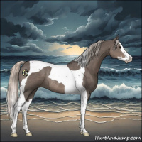 Horse Color:Silver Black Splash Tobiano Rabicano