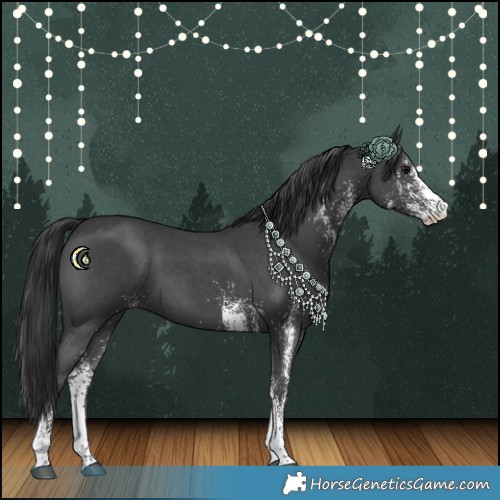 Horse Color:White Spotted Black 
