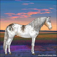 Horse Color:White Spotted Silver Smoky Black Rabicano 