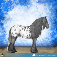 Horse Color:Platinum Brown Appaloosa Rabicano