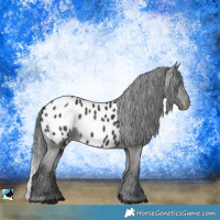 Horse Color:Platinum Brown Appaloosa Rabicano 