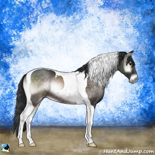 Horse Color:Platinum Brown Onyx Tobiano