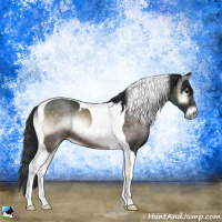 Horse Color:Platinum Brown Onyx Tobiano 
