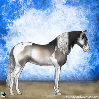 Horse Color:Platinum Brown Onyx Splash Tobiano Rabicano 