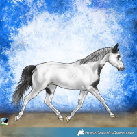 Horse Color:Platinum White Spotted Liver Chestnut Tobiano Frame Rabicano 