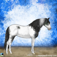 Horse Color:Platinum Liver Chestnut Sabino Tobiano Frame Rabicano