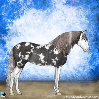 Horse Color:Platinum White Spotted Liver Chestnut Splash Rabicano