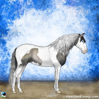 Horse Color:Platinum Blue Onyx Splash Tobiano Rabicano 