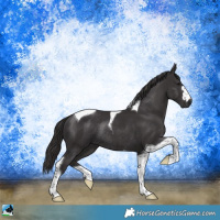 Horse Color:Platinum Smoky Black Tobiano Rabicano