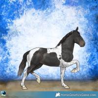 Horse Color:Platinum Liver Chestnut Tobiano 
