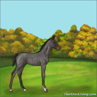 Horse Color:Liver Red Roan Tobiano 