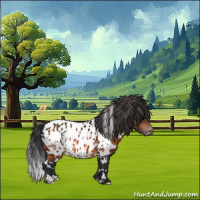Horse Color:White Spotted Brown Appaloosa