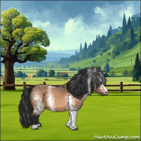 Horse Color:White Spotted Brown Dun 