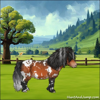 Horse Color:White Spotted Bay Appaloosa 