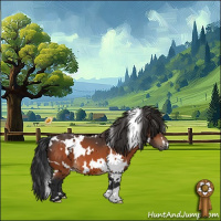 Horse Color:White Spotted Bay 