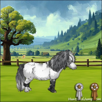 Horse Color:White Spotted Bay Chinchilla Appaloosa 