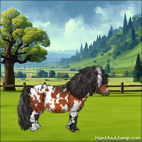 Horse Color:White Spotted Bay Appaloosa 