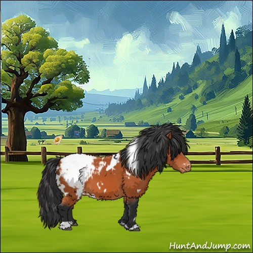 Horse Color:White Spotted Bay Appaloosa 