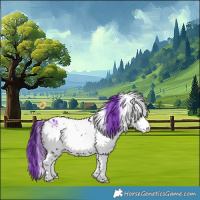 Horse Color:Watercolor White Spotted Brown Appaloosa 