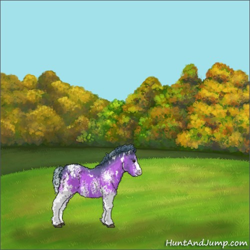 Horse Color:Watercolor White Spotted Brown Appaloosa 