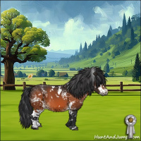 Horse Color:White Spotted Brown