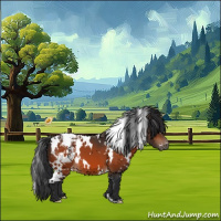 Horse Color:White Spotted Bay Appaloosa 