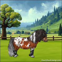 Horse Color:White Spotted Bay Appaloosa