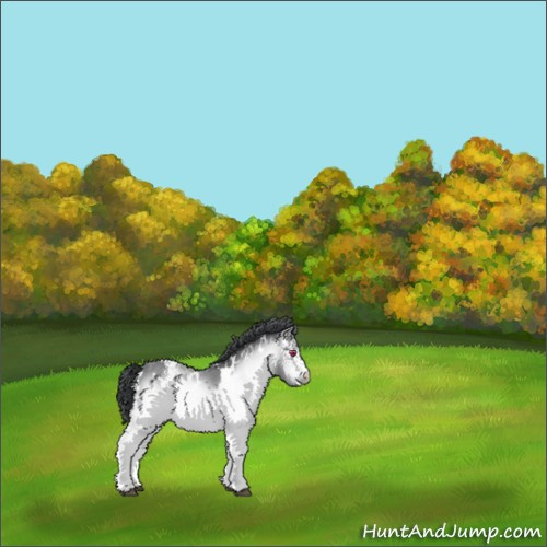 Horse Color:White Spotted Brown Chinchilla 