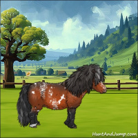 Horse Color:White Spotted Bay 
