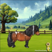 Horse Color:White Spotted Bay 