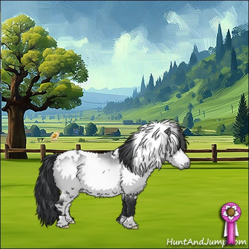 Horse Color:White Spotted Bay Chinchilla 