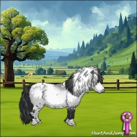 Horse Color:White Spotted Bay Chinchilla 