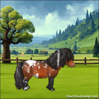 Horse Color:White Spotted Brown Appaloosa 