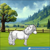 Horse Color:White Spotted Bay Chinchilla Appaloosa 