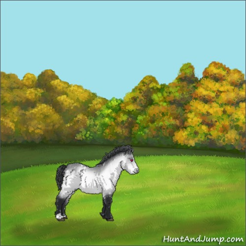 Horse Color:White Spotted Bay Chinchilla 