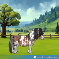 Horse Color:White Spotted Bay 