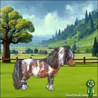 Horse Color:Nacre White Spotted Bay Appaloosa 