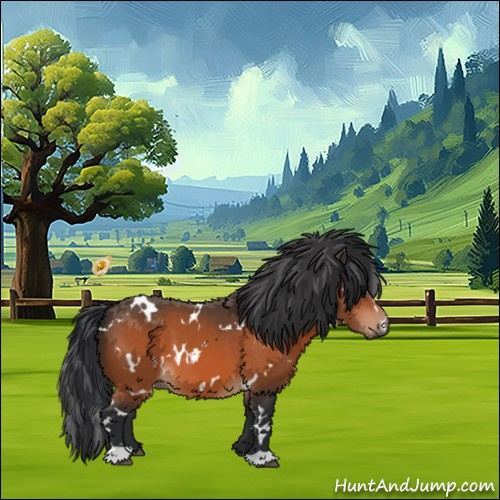 Horse Color:White Spotted Bay 