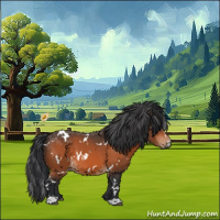 Horse Color:White Spotted Bay 