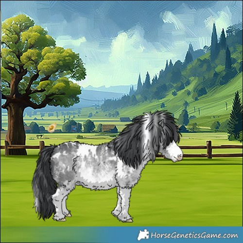 Horse Color:White Spotted Brown Chinchilla 