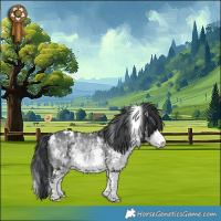 Horse Color:White Spotted Bay Chinchilla 